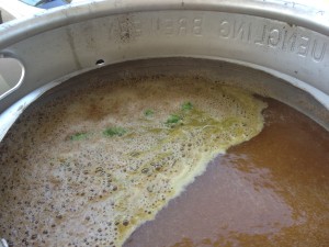 Fresh Hops in the Boil